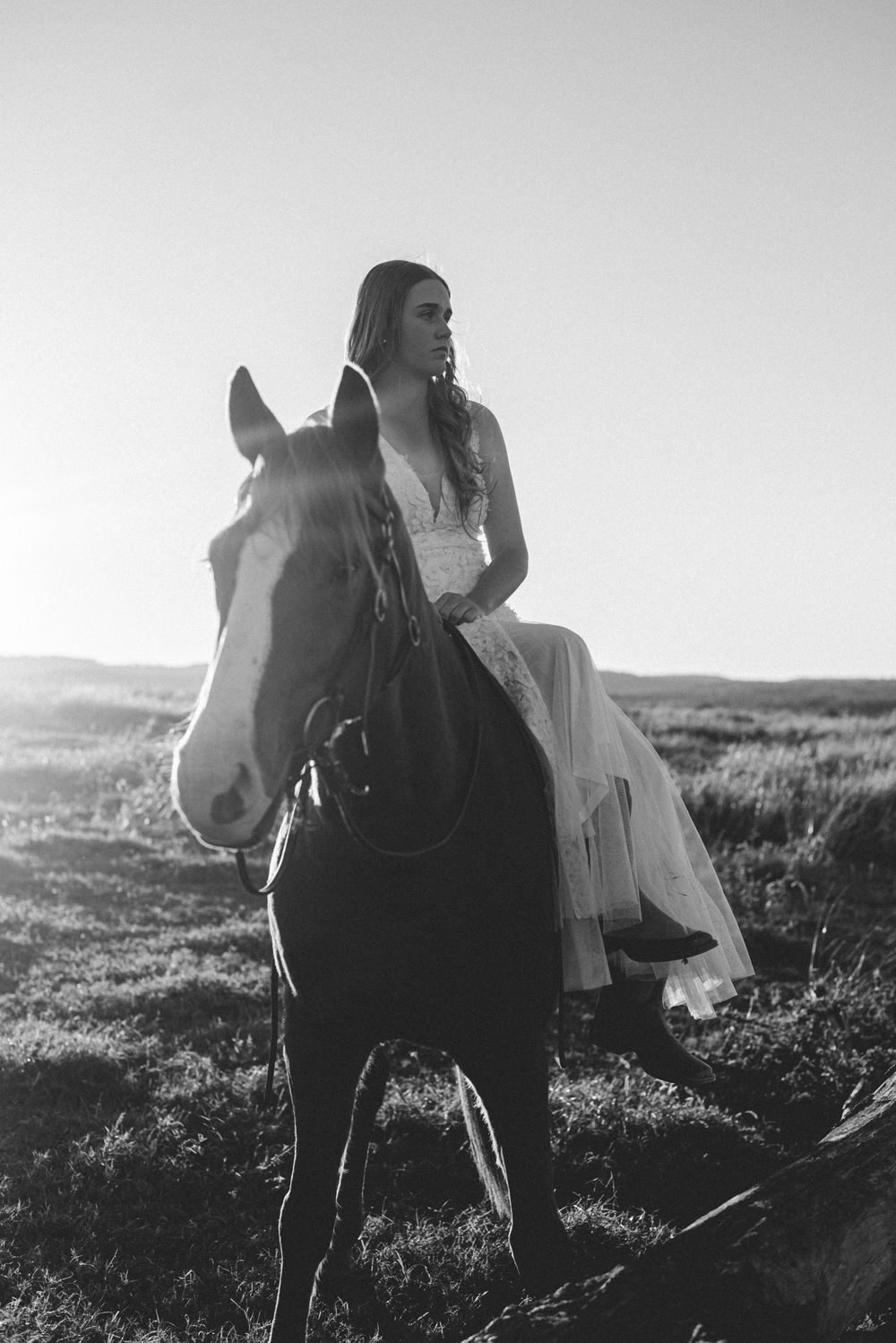 A romantic black and white photo sequence shows a couple with their horse silhouetted against a rolling landscape.