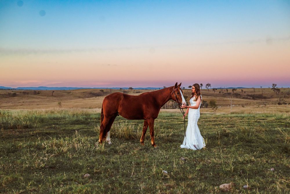 A panoramic landscape of a grassy prairie with a horse and someone in a white dress at sunset.