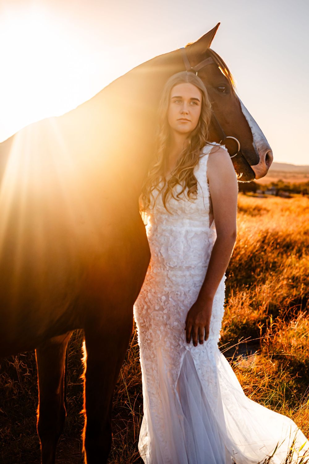 Bride in white lace dress poses with a dark horse in a golden field at sunset for a romantic wedding photo.