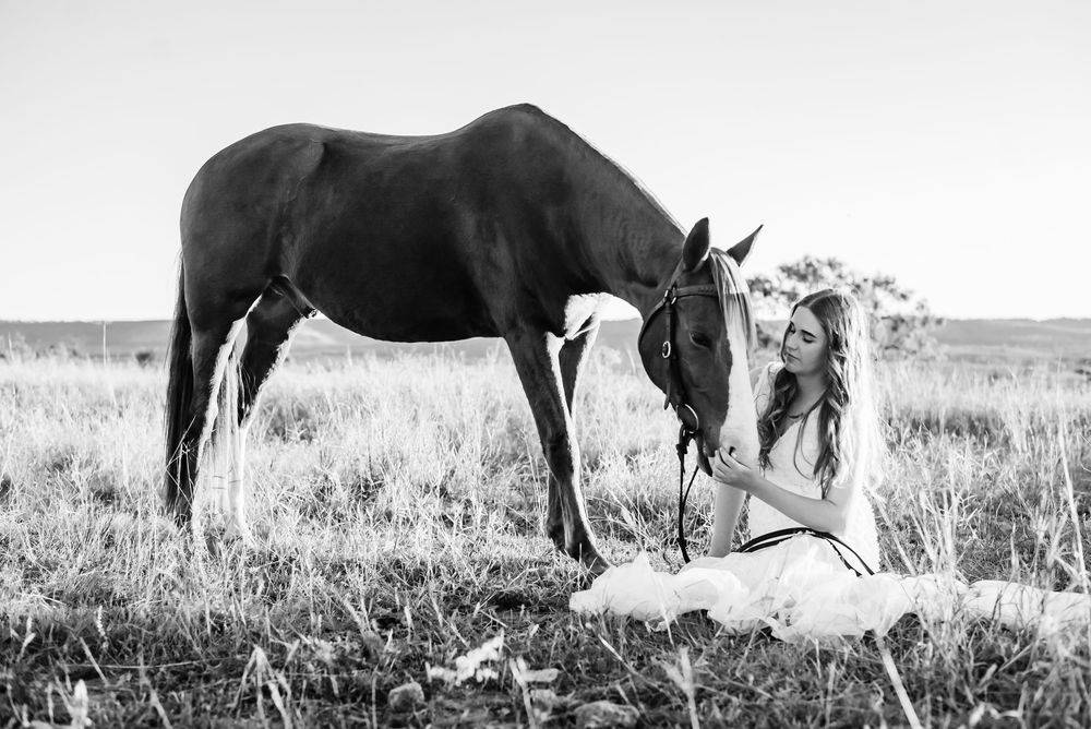 Monochromatic image showing grazing horses in a field with distant mountains landscape in the background.