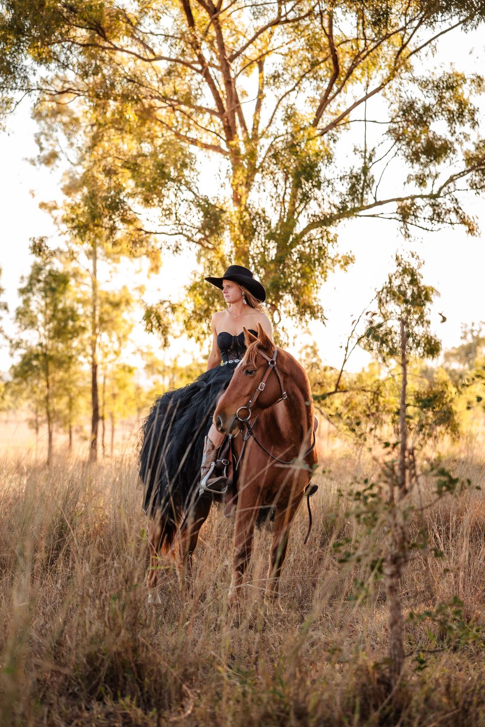 Four connected images showing horses and riders at sunset in tall grass with gum trees in the background.