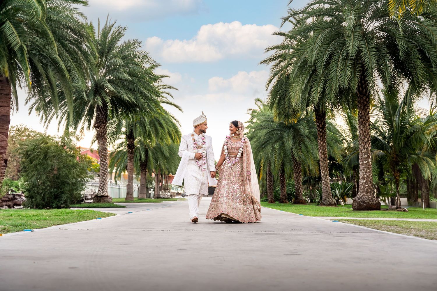 Palm tree lined path creates symmetrical perspective for formal occasion photography.