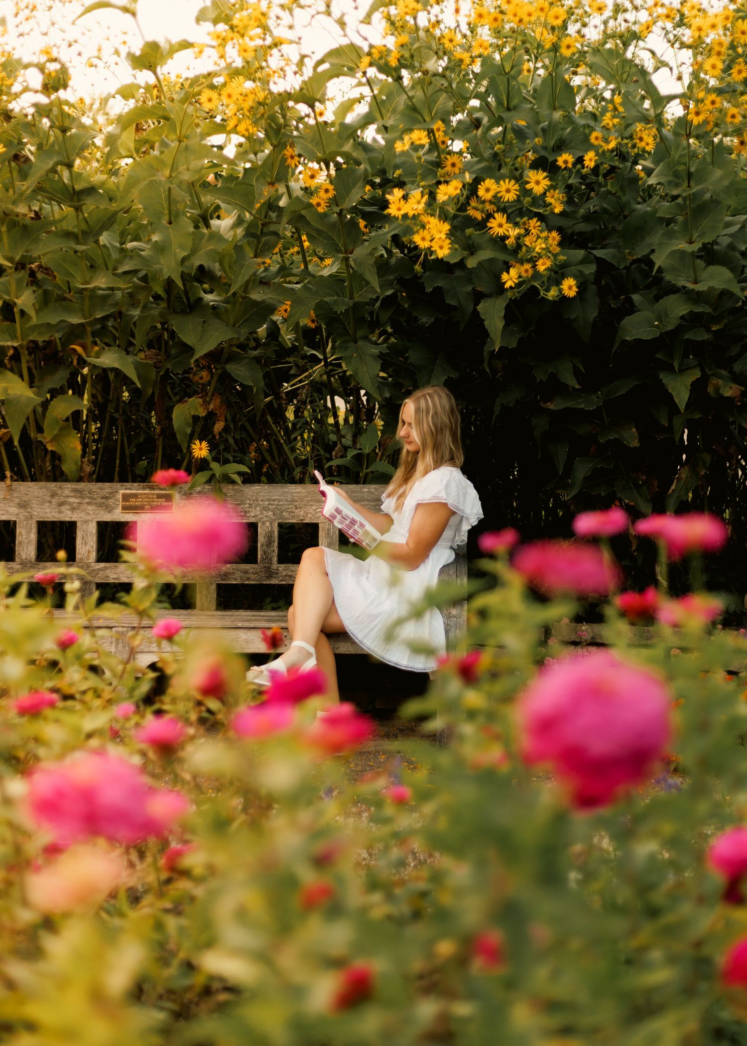 Stunning Senior Session. Nature, Flowers, Golden