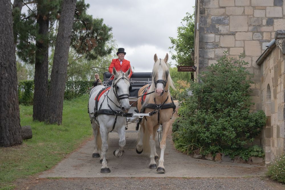 A series of four photographs showing carriage horses and riders walking along a historic stone path on castle grounds.