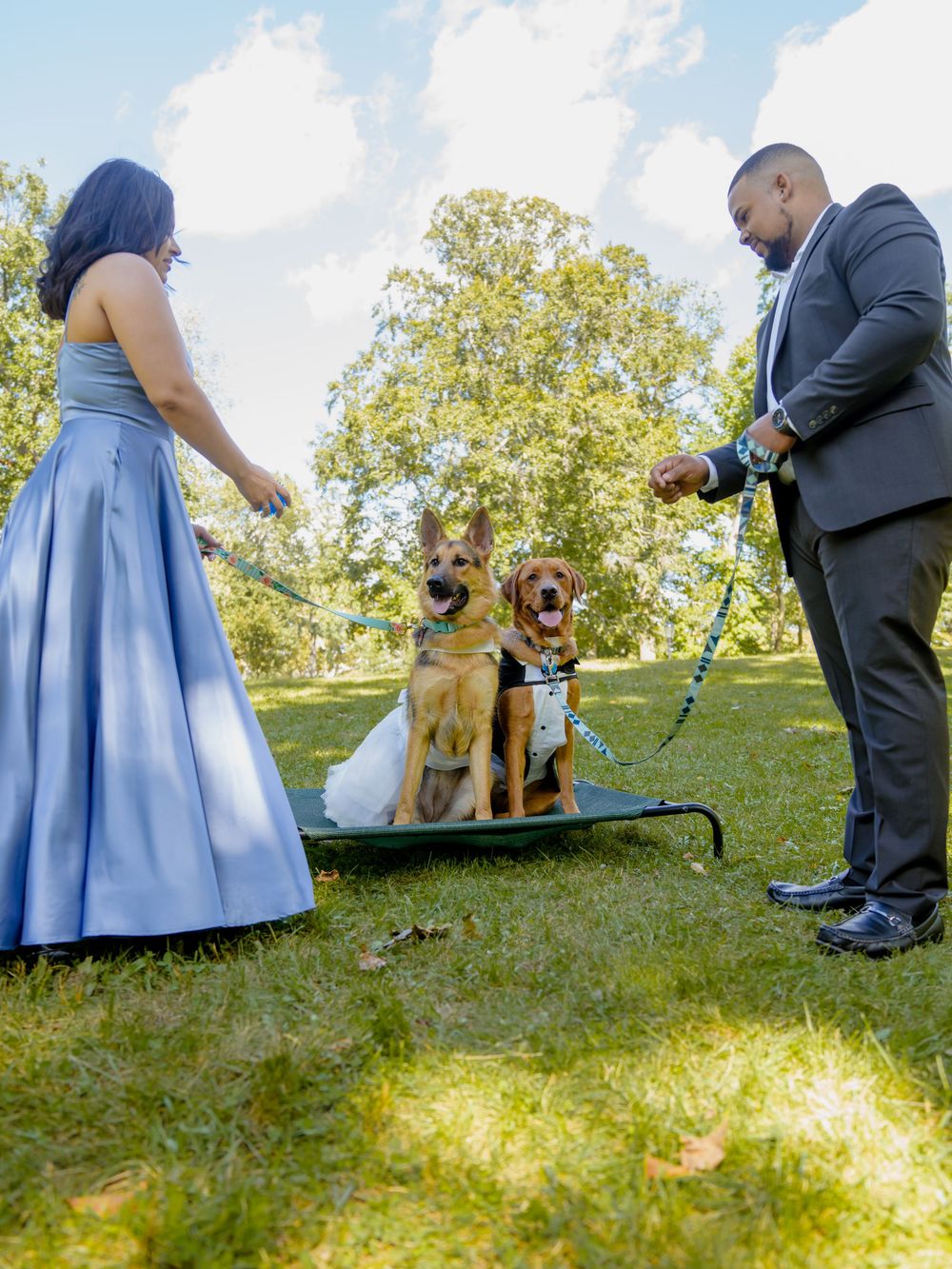 Two people pose with their German Shepherd dogs during an outdoor photo session in a sunny park setting beautiful engagement shoot