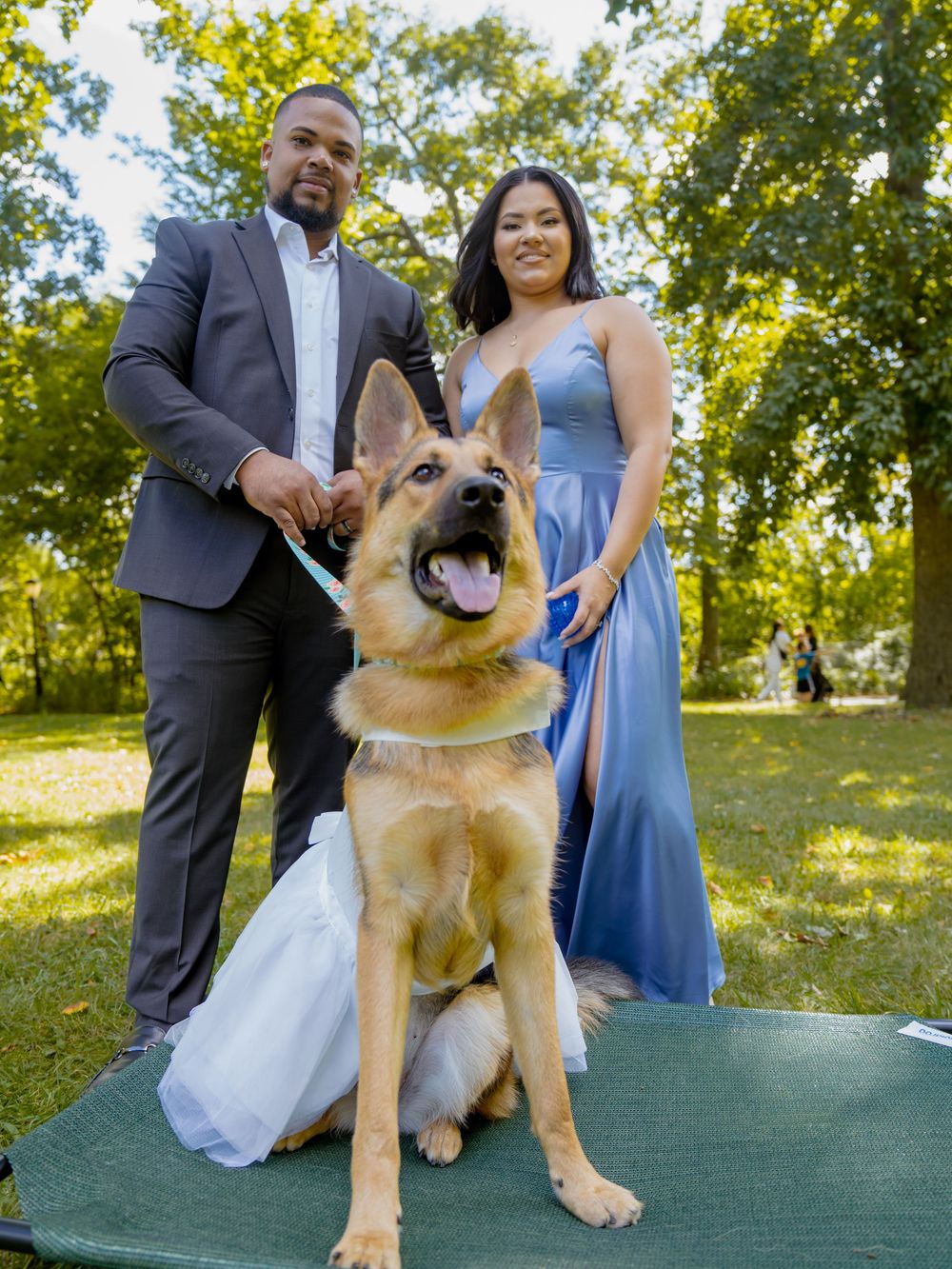 A German Shepherd dog poses with a couple in formal attire outdoors on a sunny day in the park beautiful engagement shoot