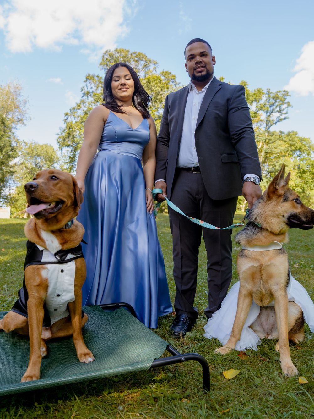 A couple poses outdoors in formal attire with their large brown dog on a park bench during a photo session beautiful engagement shoot