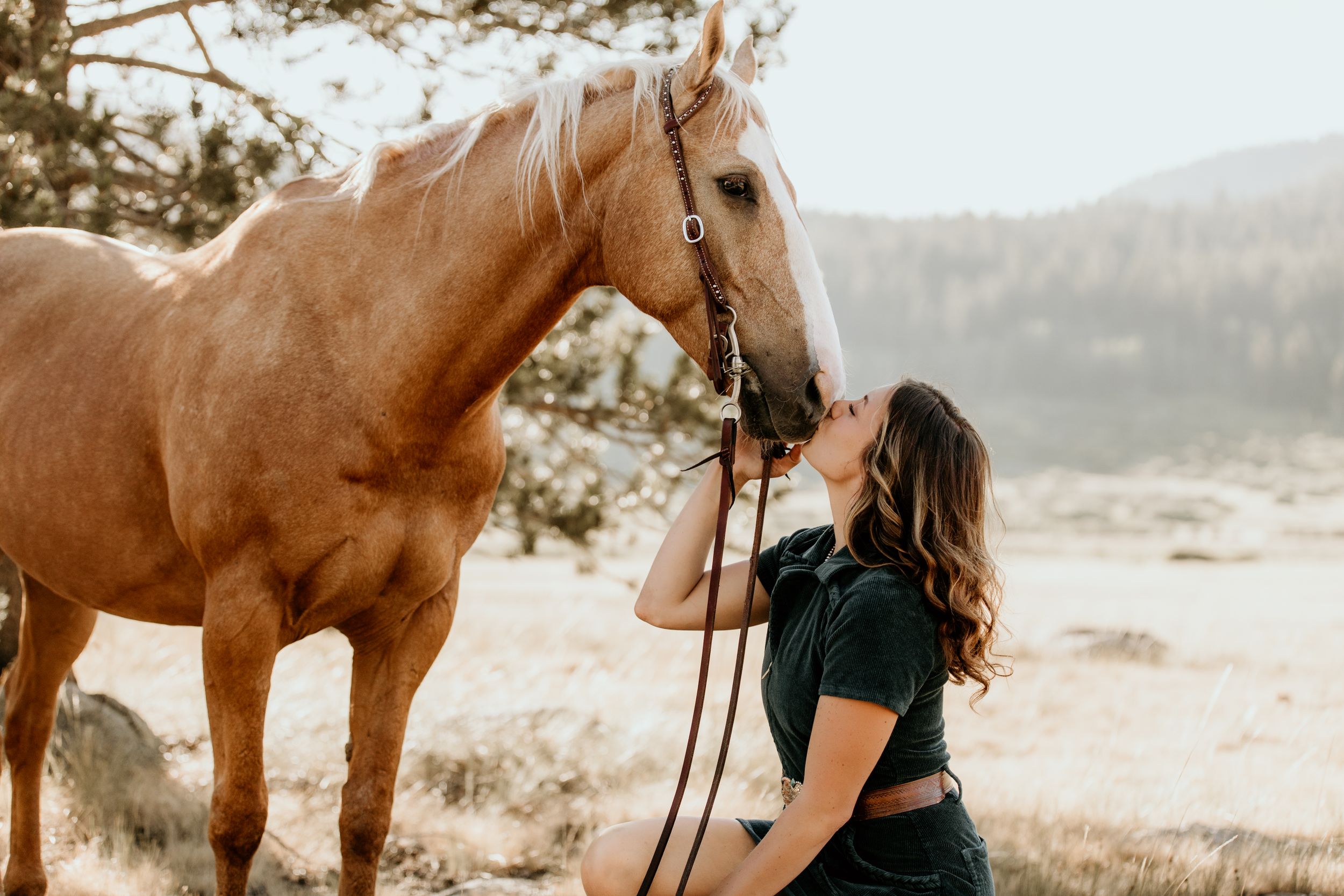 A beautiful palomino horse nuzzling with affection in a scenic mountain setting.