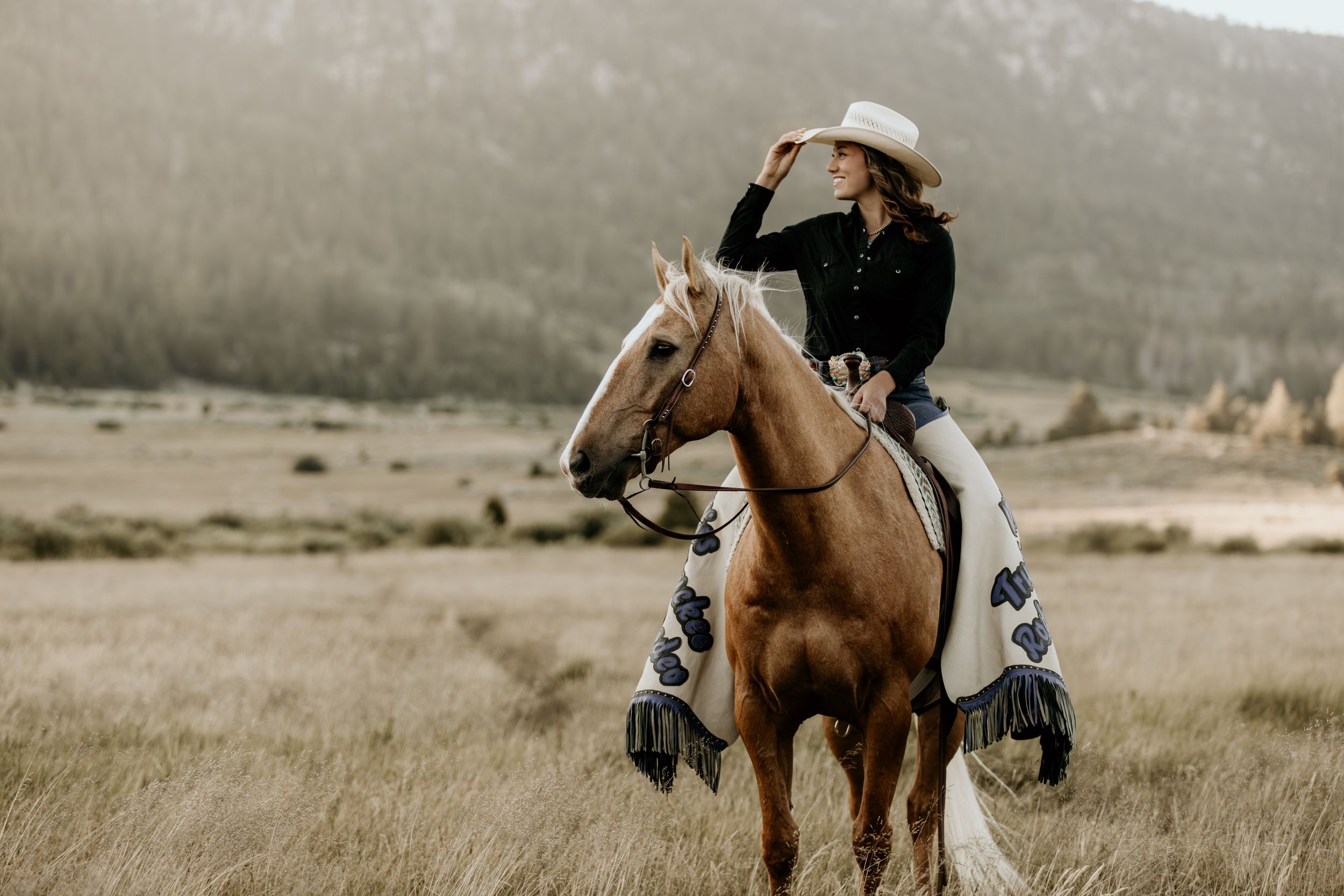 A rider scanning the horizon while mounted on a brown horse in a mountain valley.