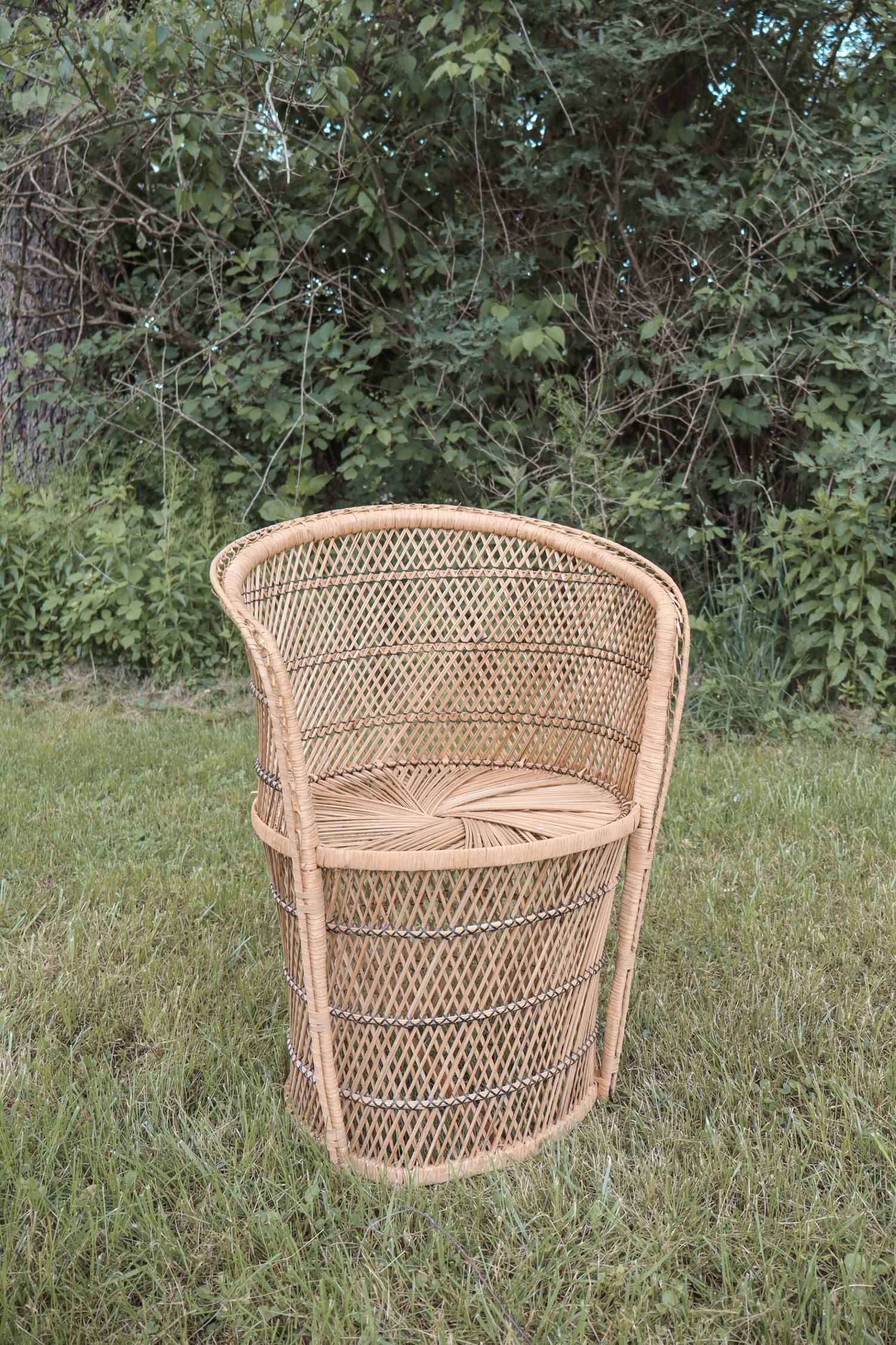 A vintage natural wicker peacock chair sits empty on green grass with foliage in the background.