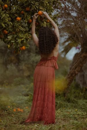 A person in a flowing rust-colored dress reaches up to pick oranges from a citrus tree in a dreamy garden setting.