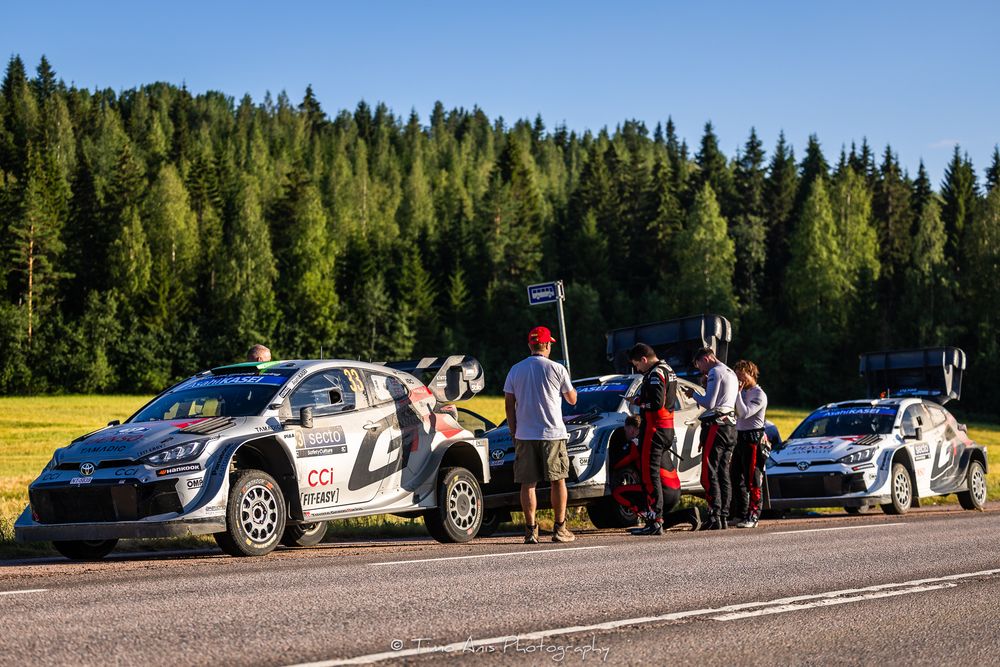 Rally cars and spectators gather at a forest road event with pine trees in the background during daytime.