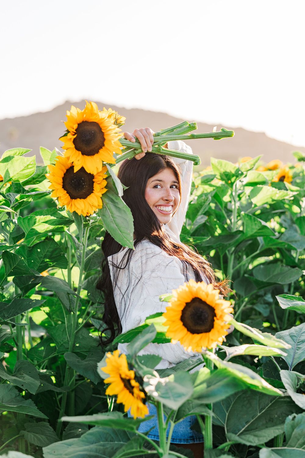 Senior portrait in a golden sunflower field at Conejo Family Farms, Camarillo — timeless, natural, and full of vibrant summer charm.