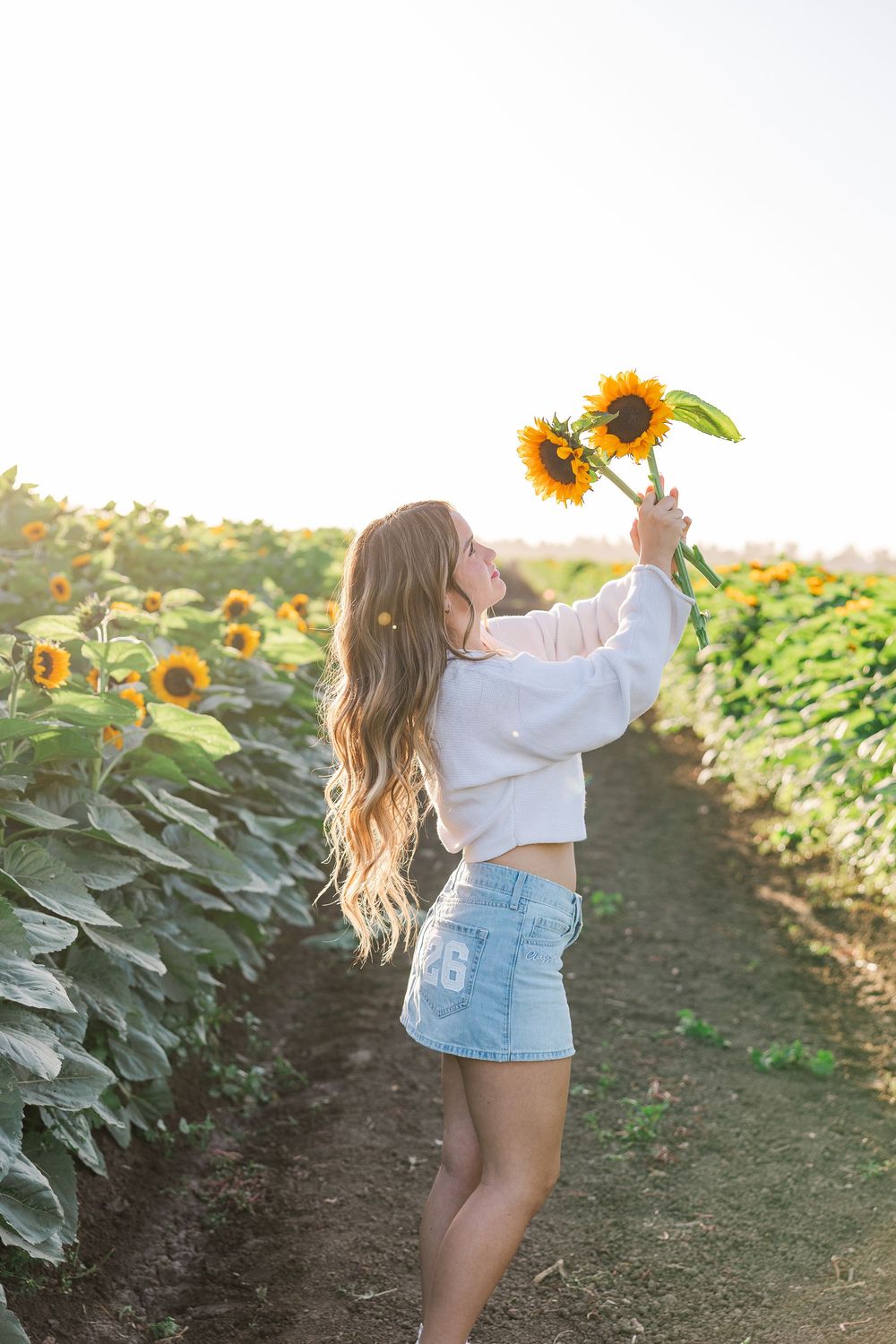 Senior portrait in a golden sunflower field at Conejo Family Farms, Camarillo — timeless, natural, and full of vibrant summer charm.
