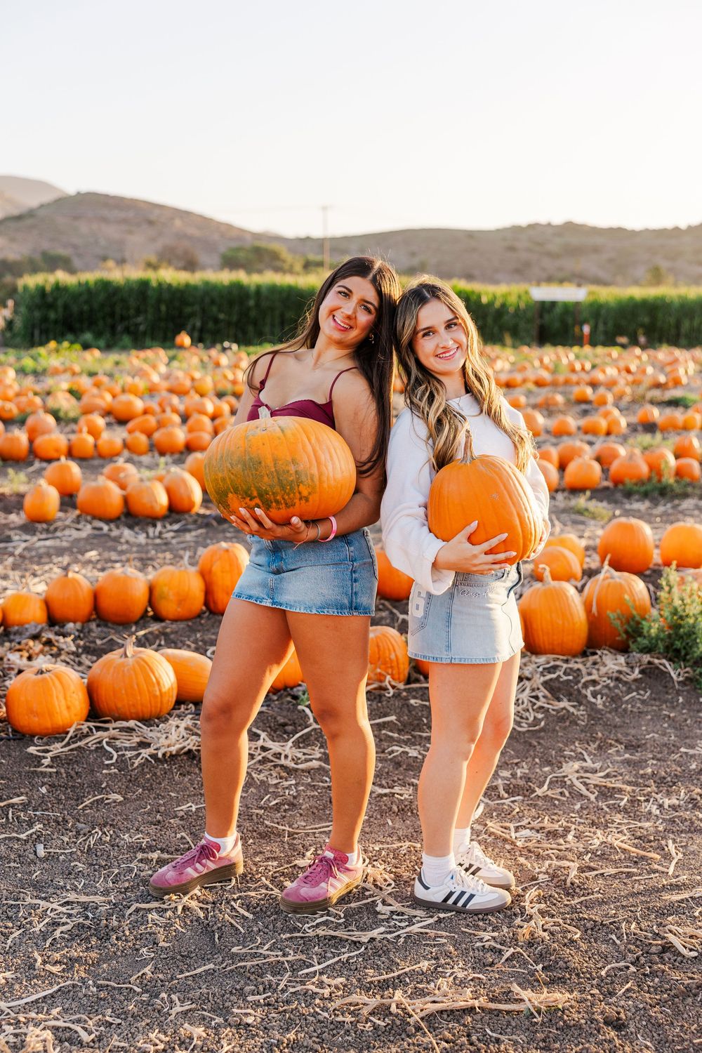 Senior photo among pumpkins at Conejo Family Farms, Camarillo — autumn vibes, charming, and ideal for capturing fall spirit.