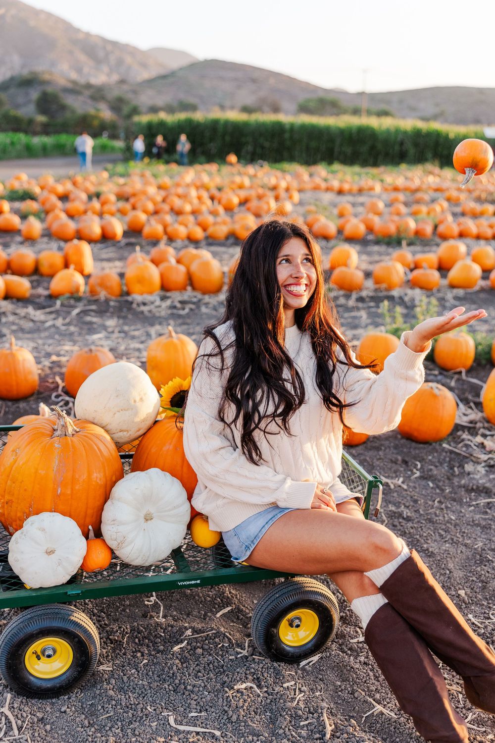 Senior photo among pumpkins at Conejo Family Farms, Camarillo — autumn vibes, charming, and ideal for capturing fall spirit.