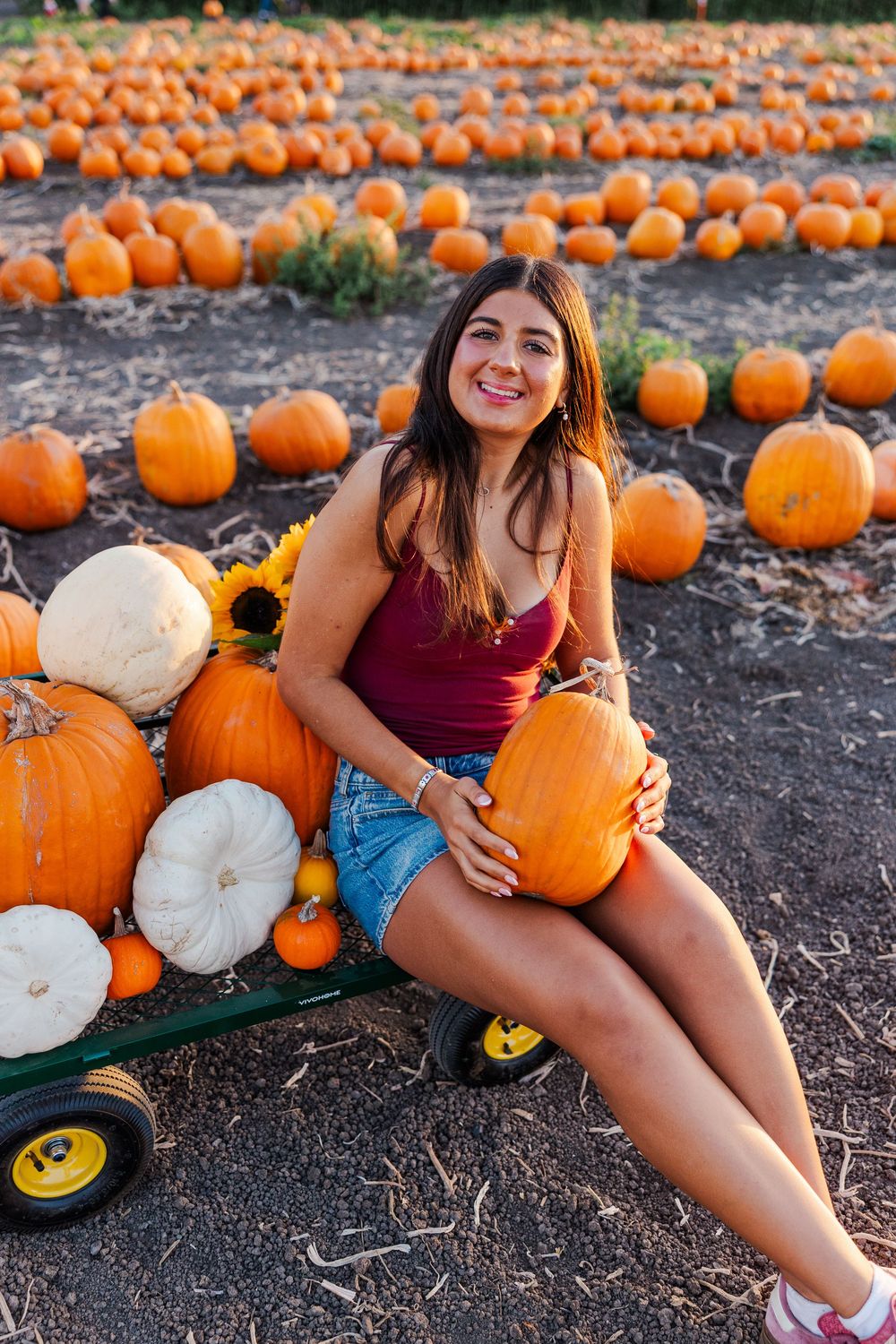Senior photo among pumpkins at Conejo Family Farms, Camarillo — autumn vibes, charming, and ideal for capturing fall spirit.