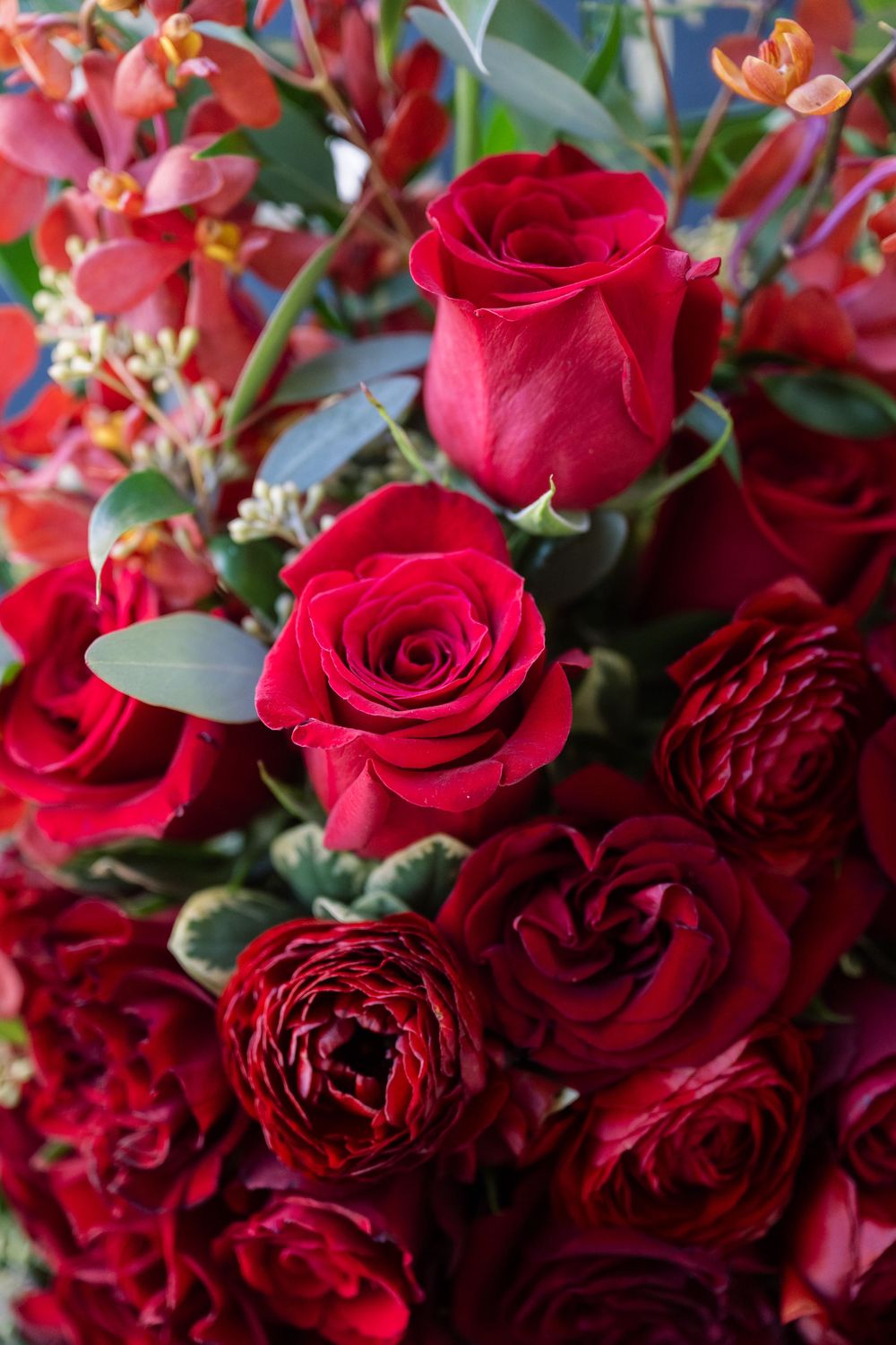 Vibrant red roses arranged in a lush bouquet with deep burgundy petals and green foliage.