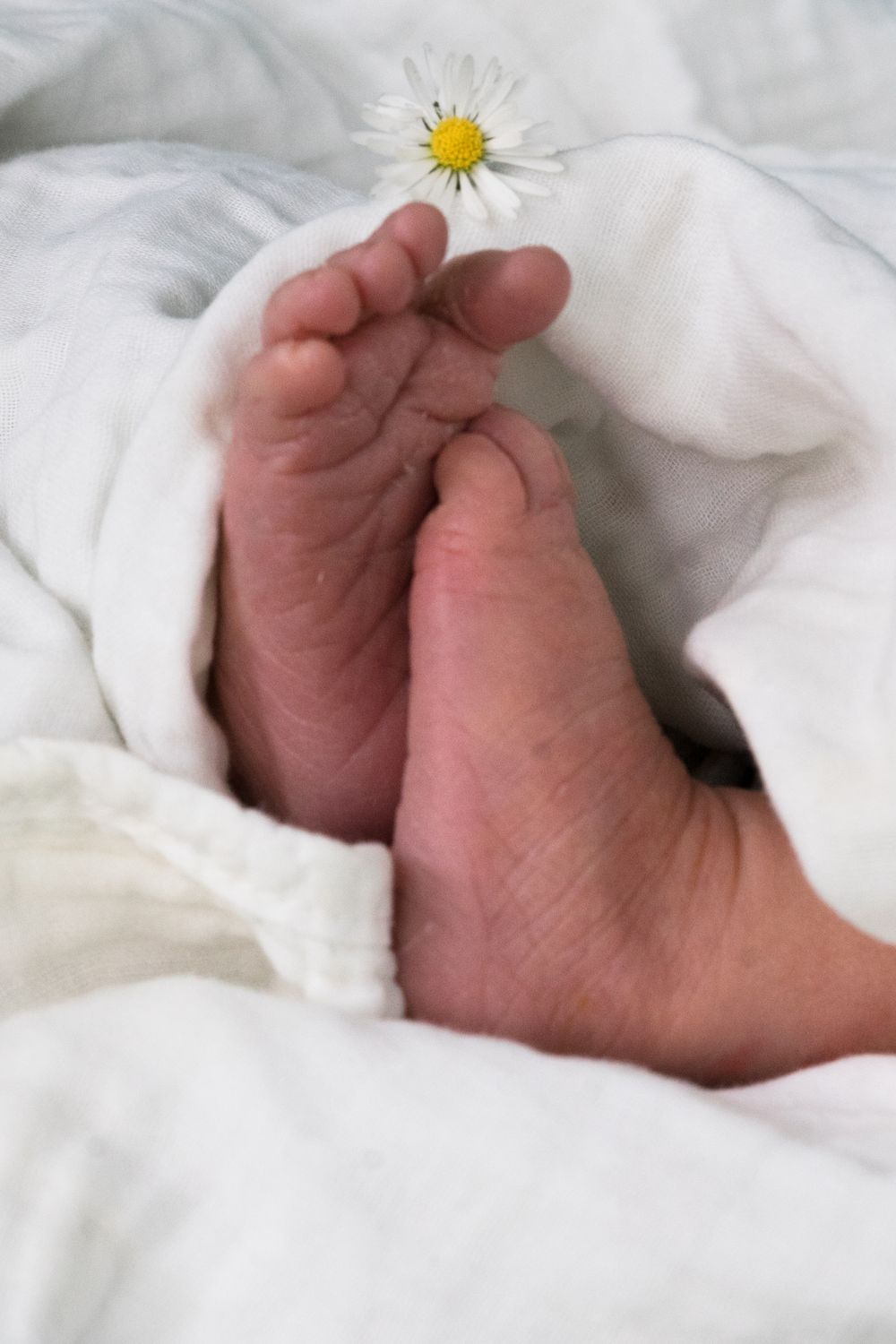 Séance photo nouveau né à domicile. Photographe lifestyle à Beersel près de Bruxelles. petits pieds avec fleur