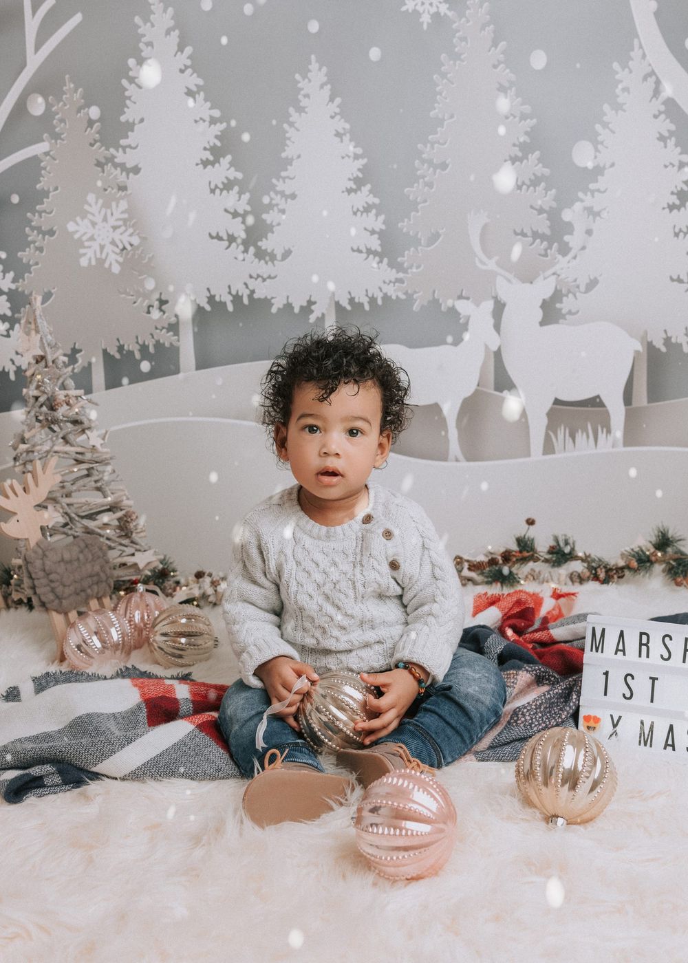 A child sits in a winter wonderland themed photo setup with white trees, reindeer silhouettes and holiday decorations.