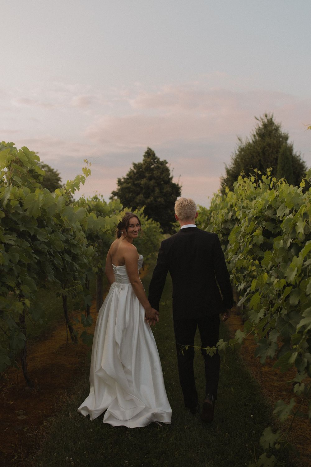 Couple walking through vineyard rows during sunset wedding photography.