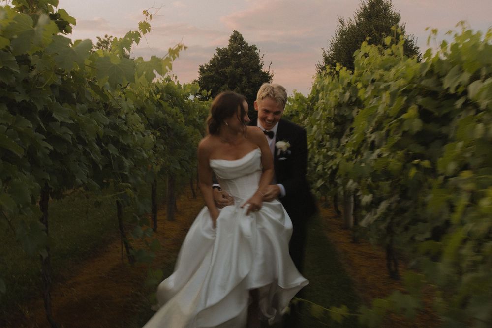 Wedding couple embracing among vineyard rows at golden hour.