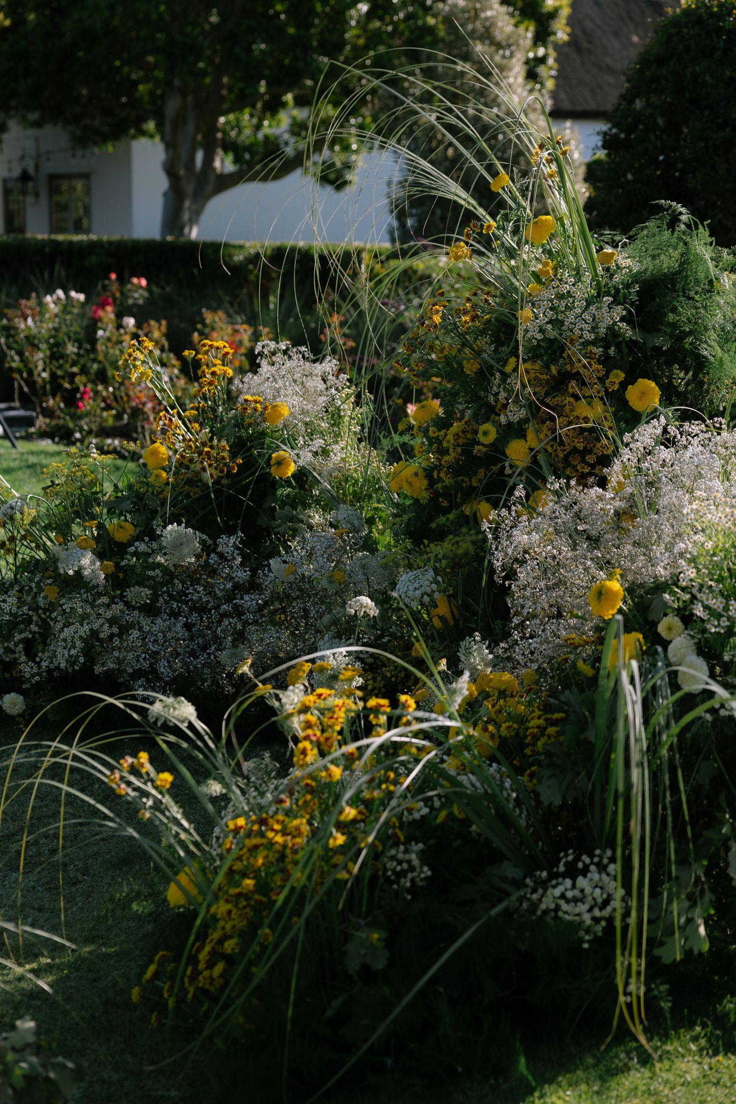 A lush garden bed filled with yellow flowers, white Queen Anne's lace, and ornamental grasses in dappled sunlight.