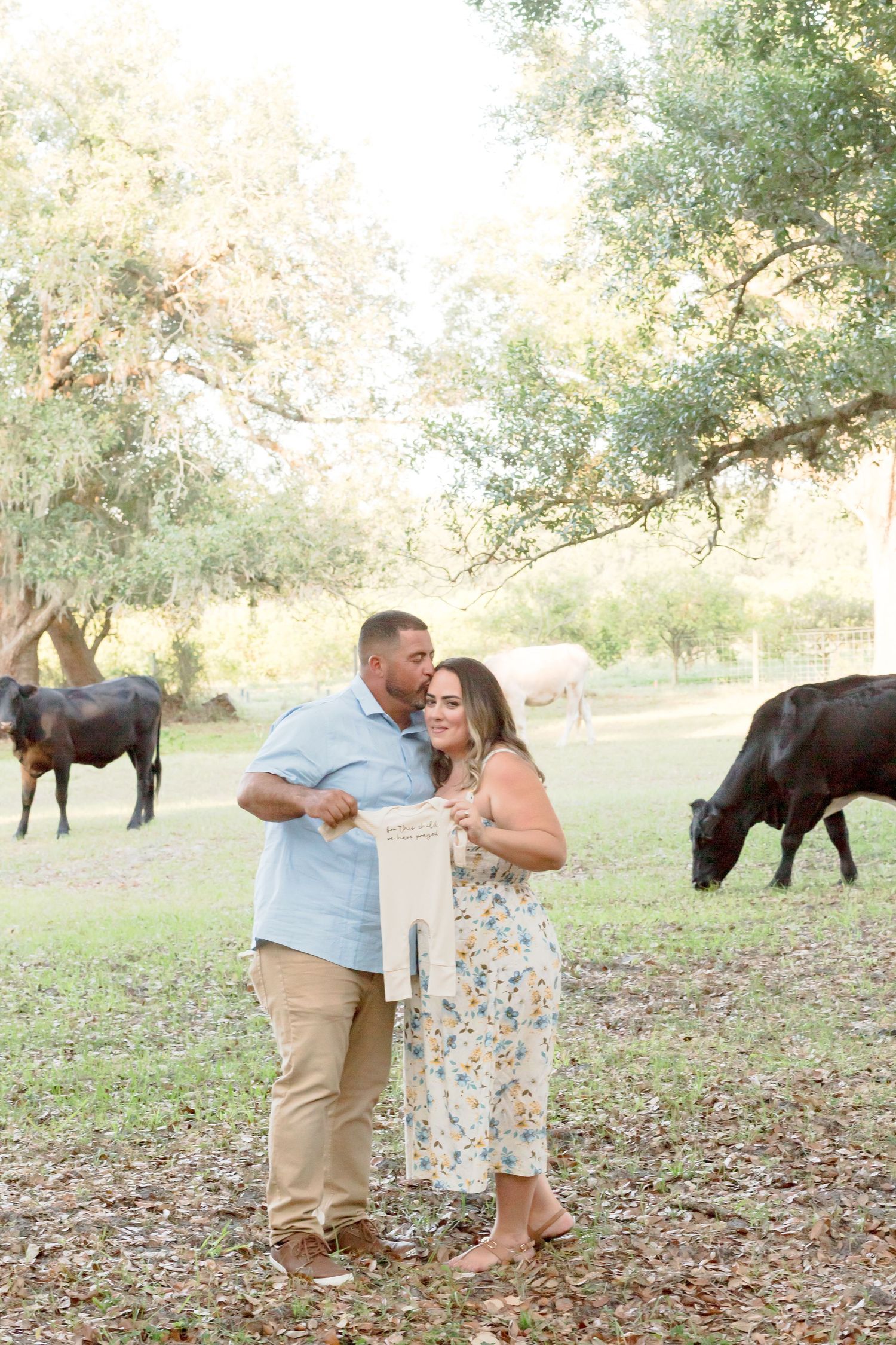 Couple holding a sign in a sunny pasture with black cows grazing under oak trees during an engagement session.