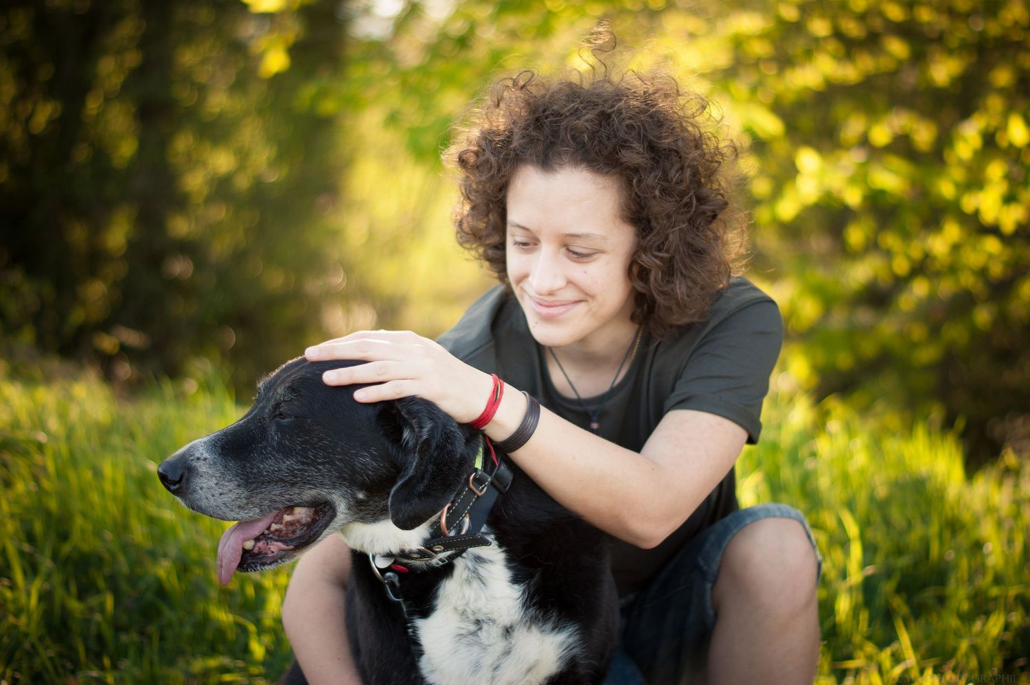 photographie animalière , portraits