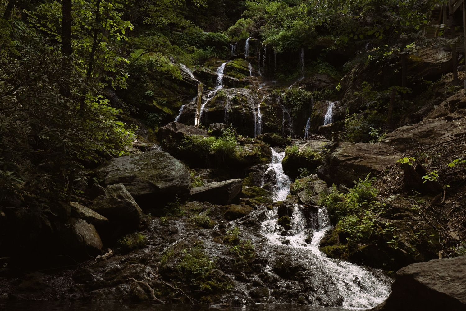 Cover image-nature