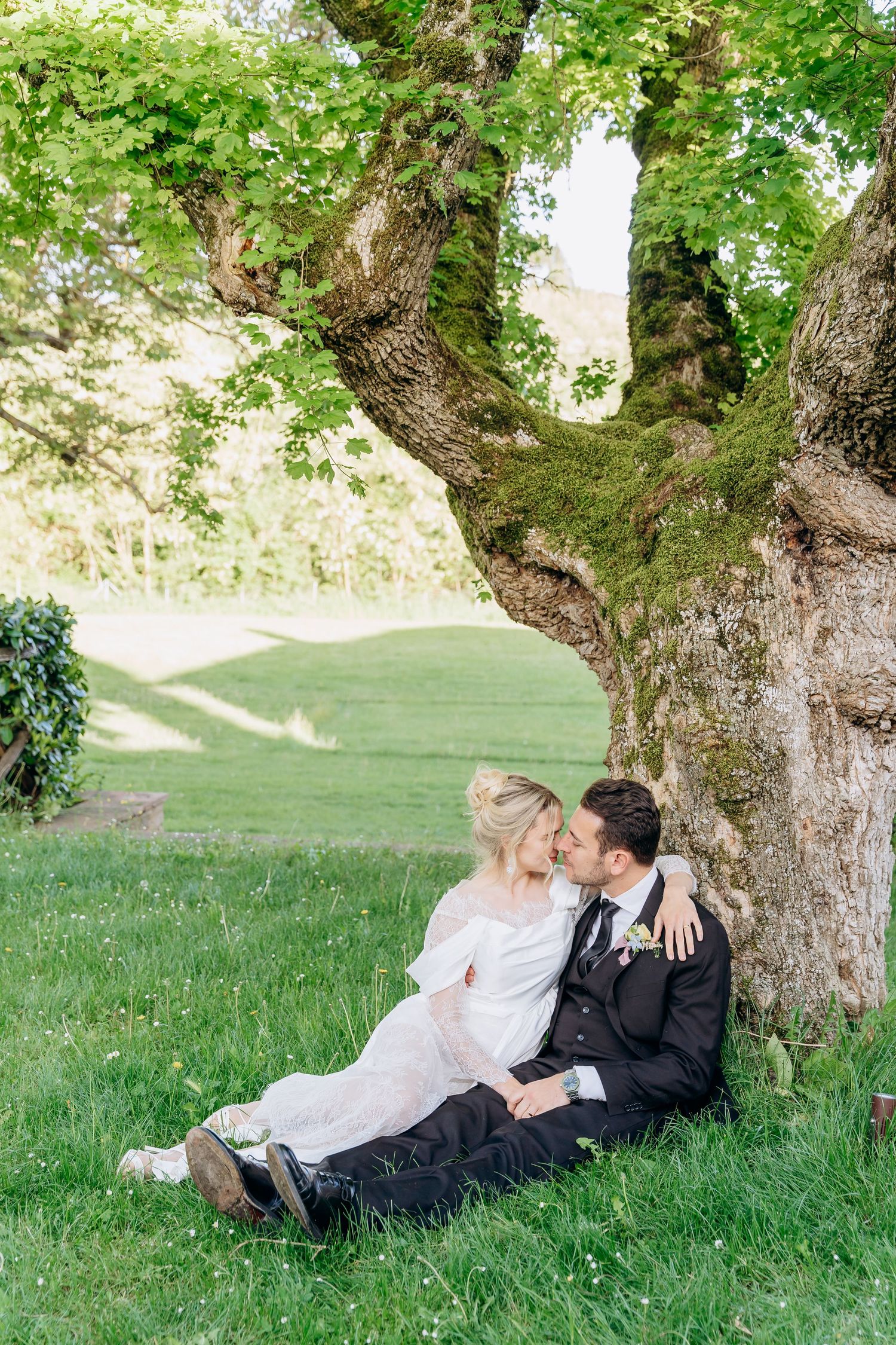 Couple relaxes under a large tree in a scenic meadow during their wedding photoshoot.