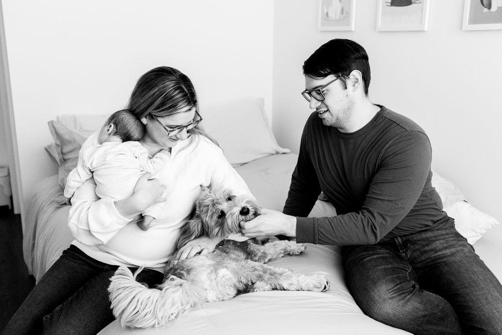 A series of black and white photos showing tender moments between a person and a small white dog on a bed.