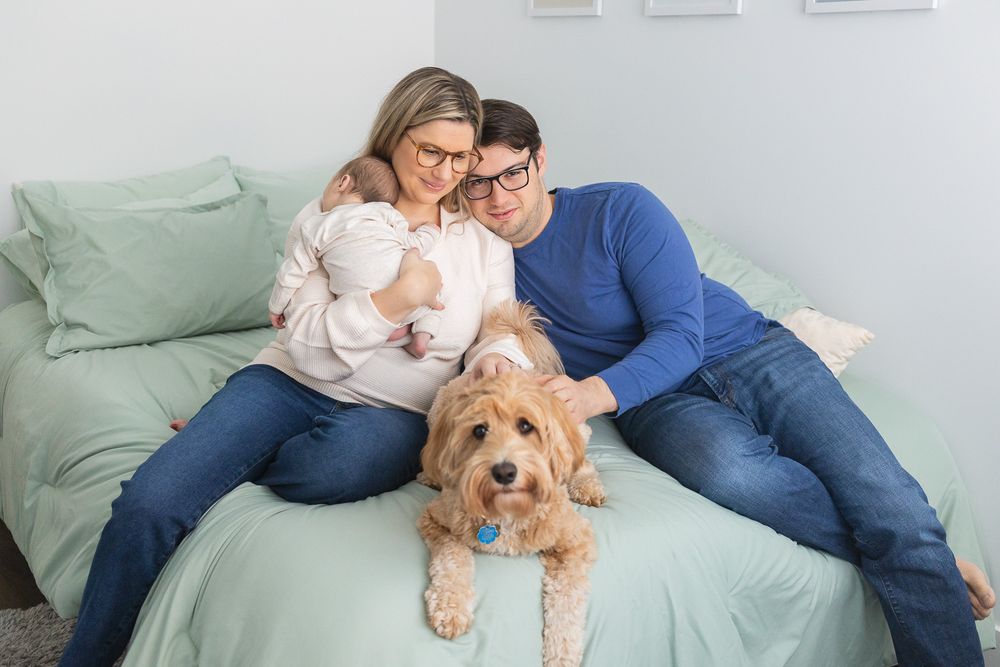 A cozy living room scene with a dog and people relaxing together on a mint green couch.
