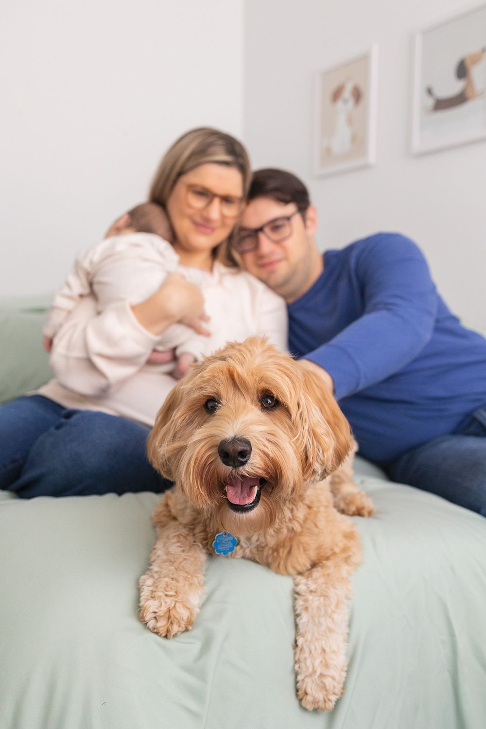 Happy goldendoodle dog lying on couch with family relaxing at home in living room.