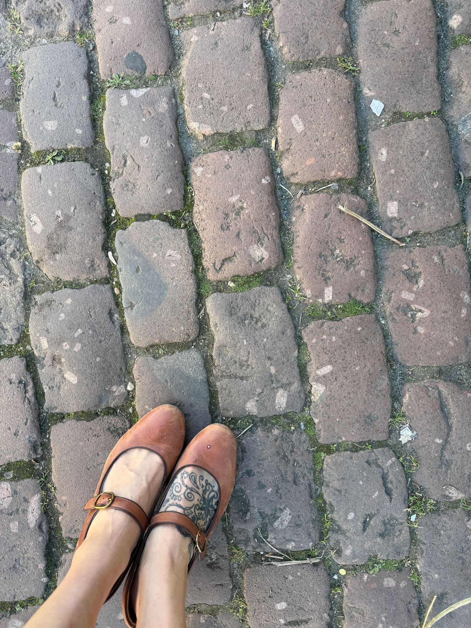 Close-up view of feet wearing brown and silver ballet flats on cobblestone pavement.