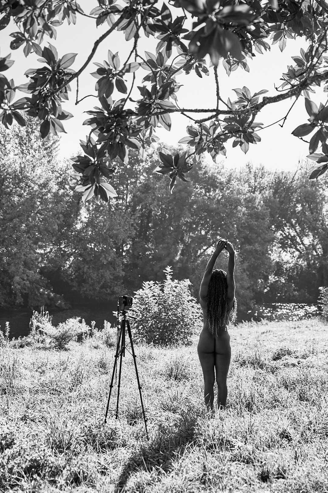 Photography equipment set up under tree branches in sunlit meadow.