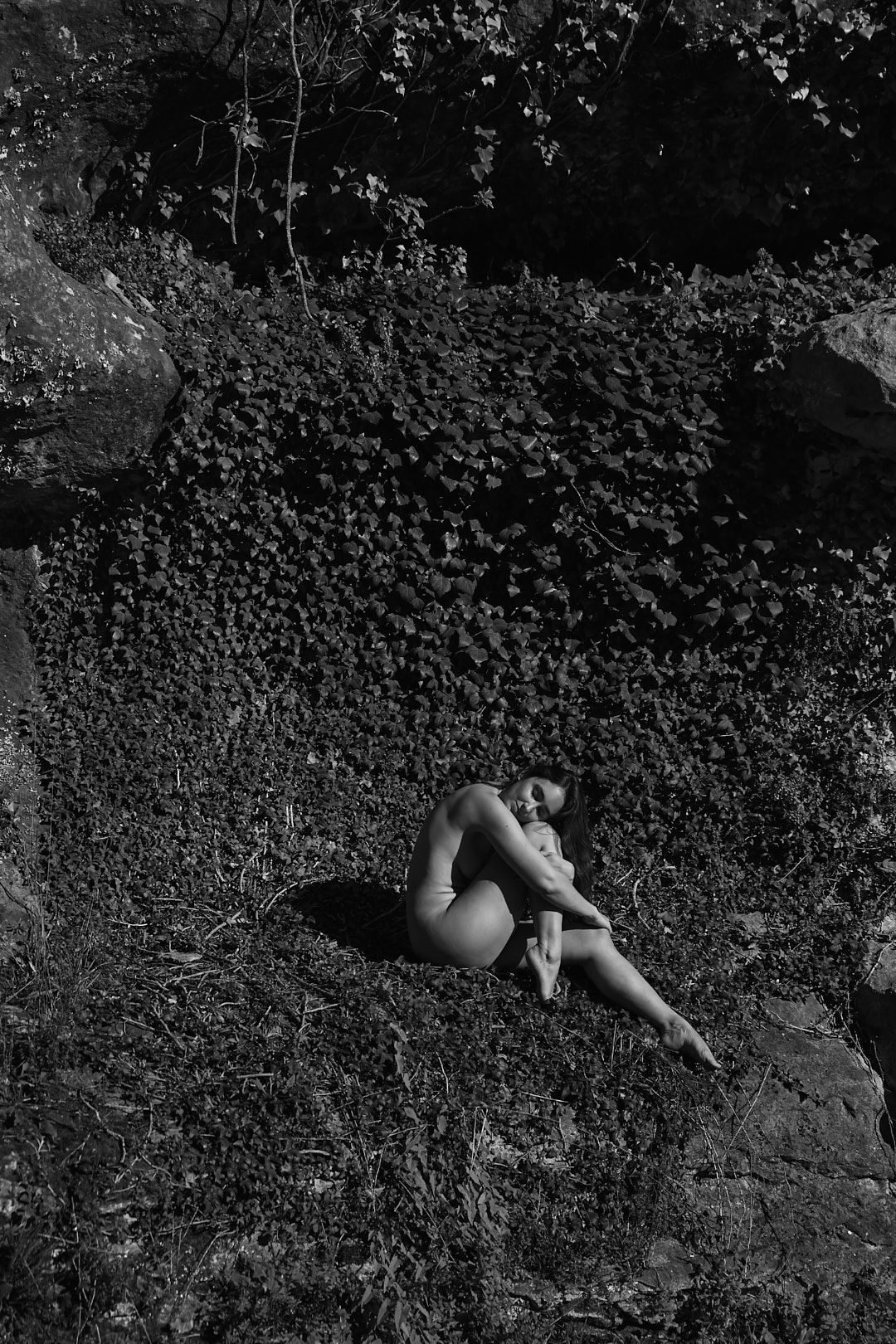 Artistic black and white photograph of a rocky hillside with vegetation.