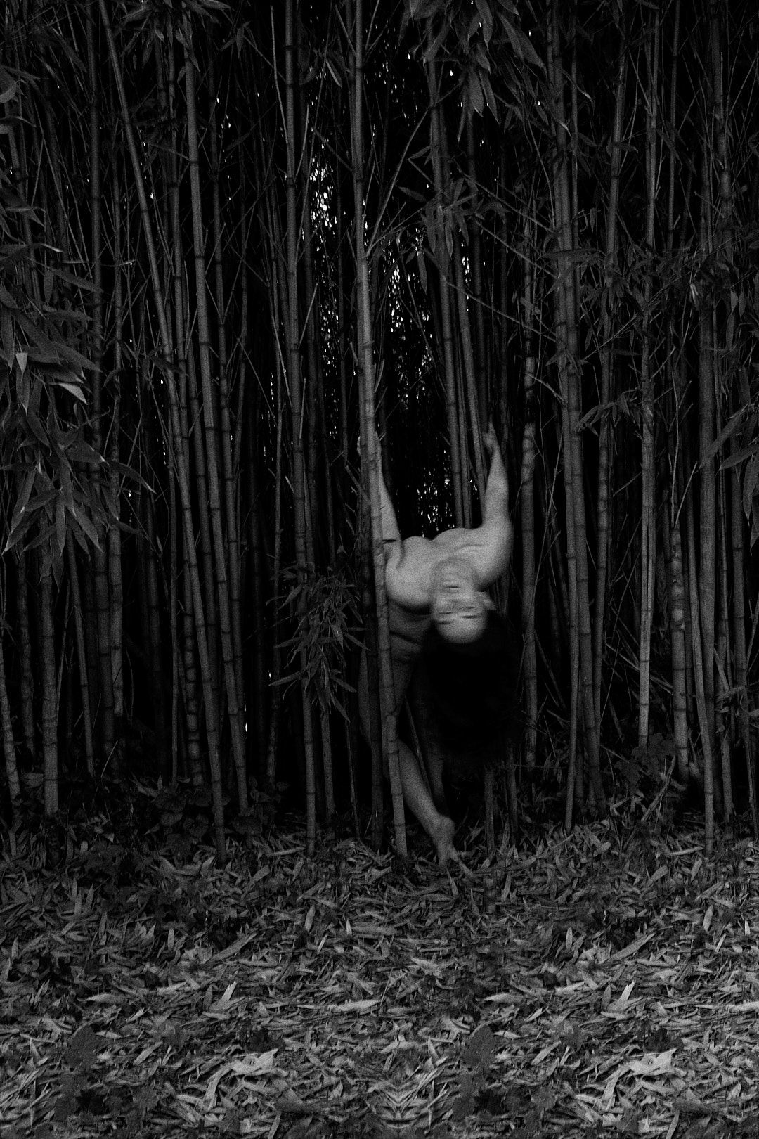 Moody black and white photographic series in a dense bamboo forest.