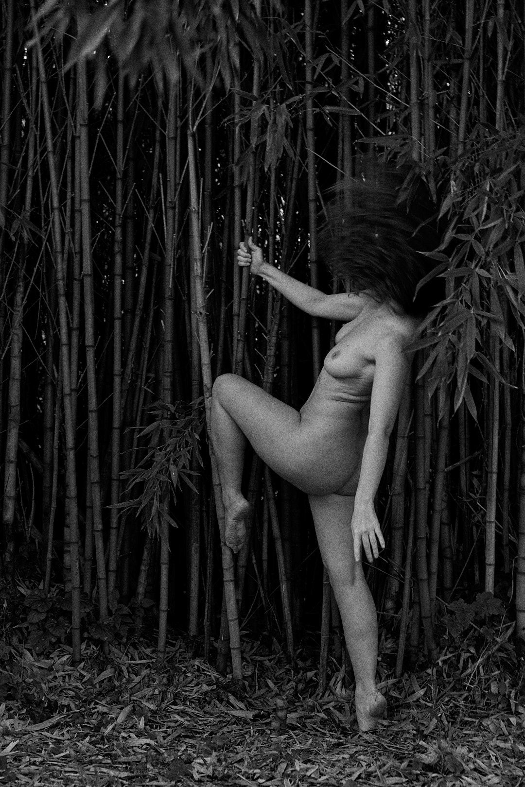 Artistic movement study photographed against bamboo forest background.