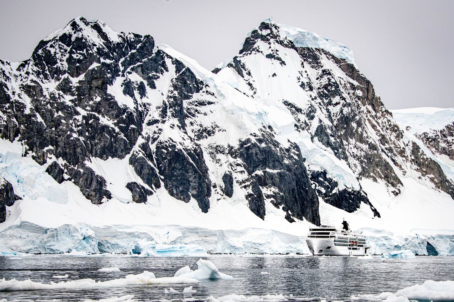 Three penguins on a rocky beach with a red zodiac boat and cruise ship visible in the misty ocean background.