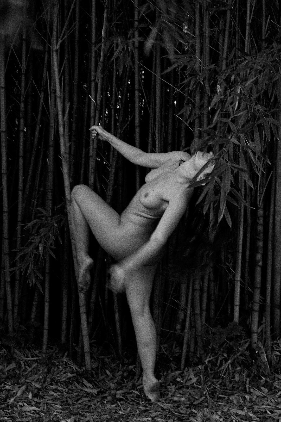 Artistic black and white dance poses against a bamboo forest backdrop.
