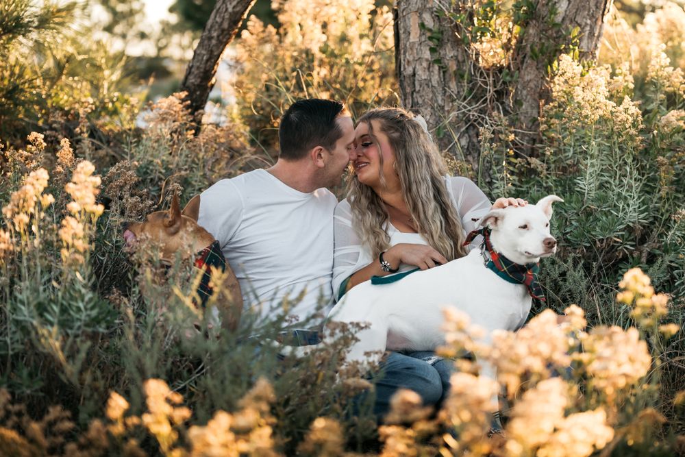 Young couple relaxing beneath the trees in a field of flowers during golden hour with their dogs.