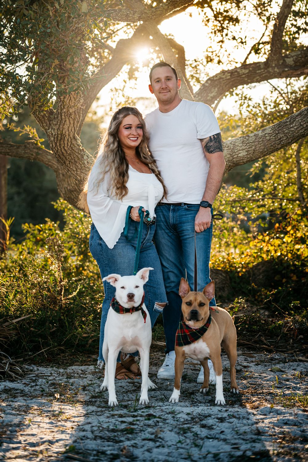 Romantic Couple in love enjoying the golden our with their dogs.