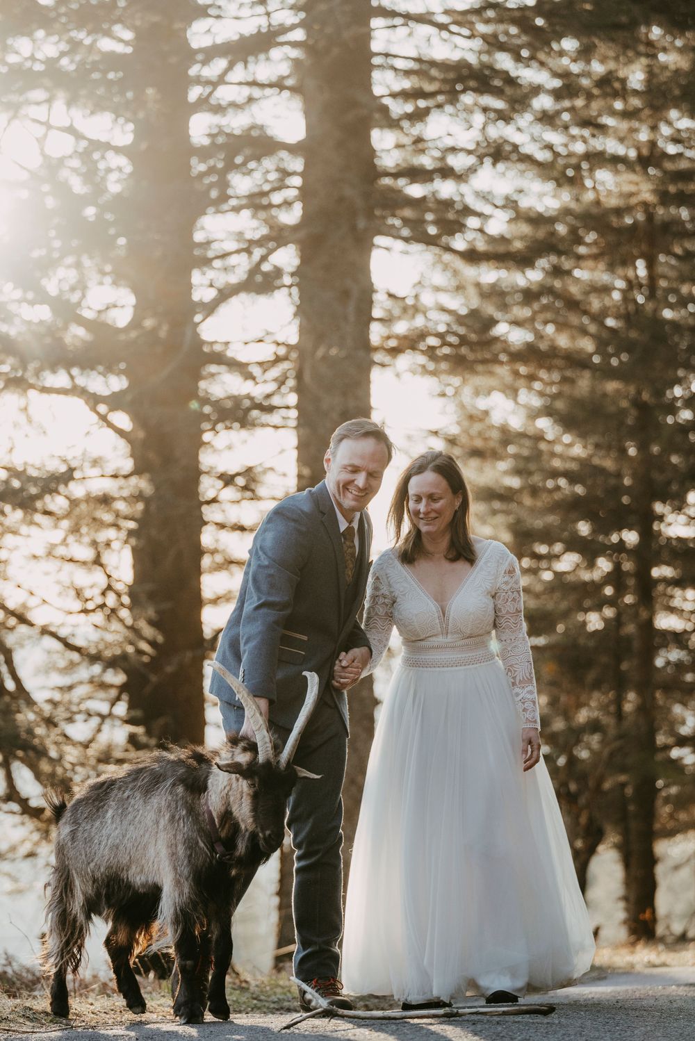 Smiling wedding couple walking with a goat in sunlit forest, bride in lace gown, groom in grey suit.