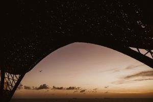 A dramatic panoramic view of a starry night sky with silhouetted mountains and trees against a colorful sunset horizon.
Los Cabos photograph
