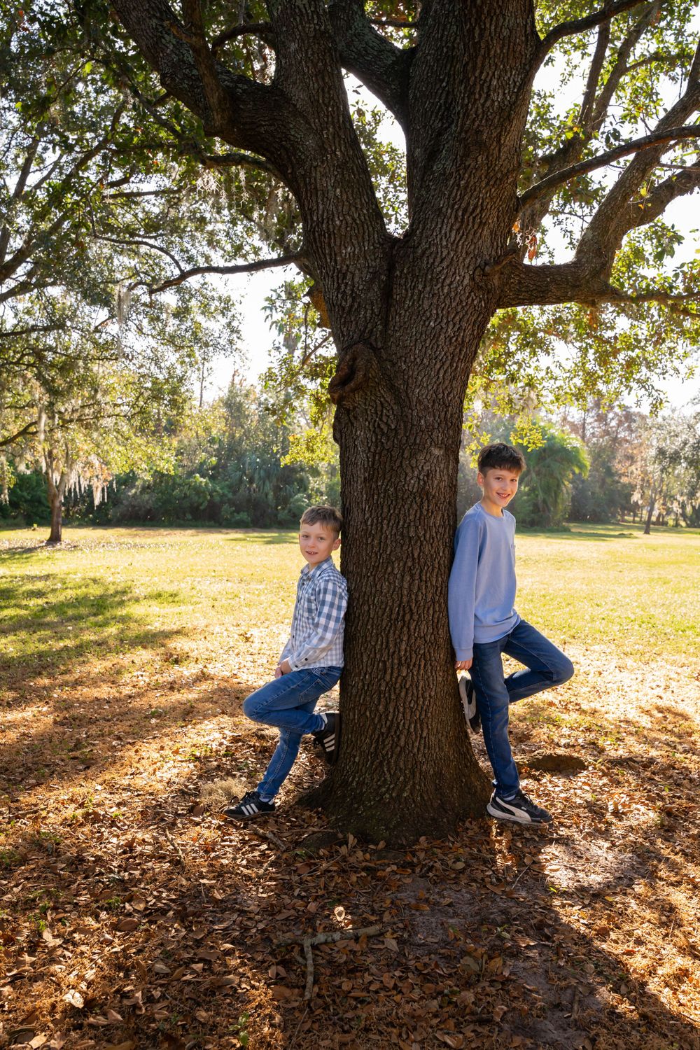 Children playing and posing around a large oak tree with fallen autumn leaves.