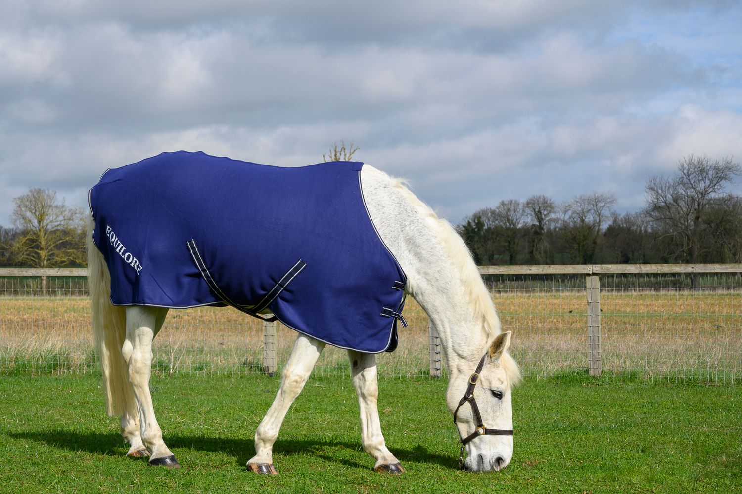 Commercial photography for a charity, Equilore, that uses horses to assist individuals with mental health challenges