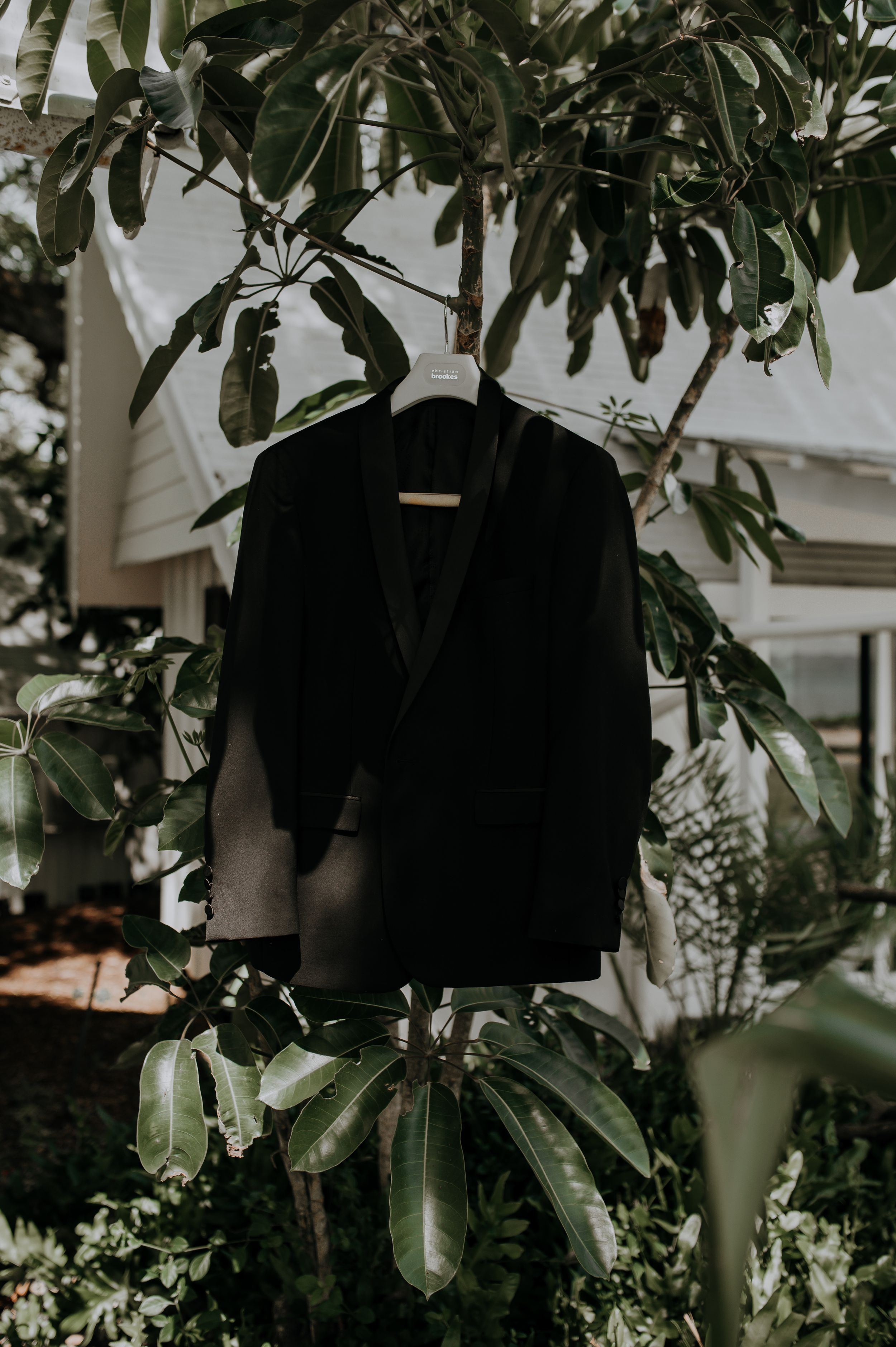 Dark suit jacket hanging among green foliage and leaves in natural lighting.