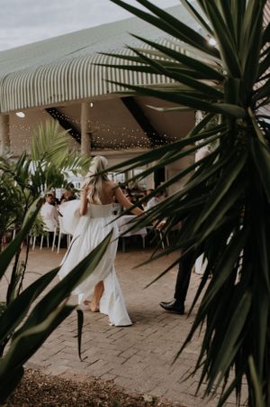 A wedding celebration scene with tropical palm fronds framing dancers under string lights.