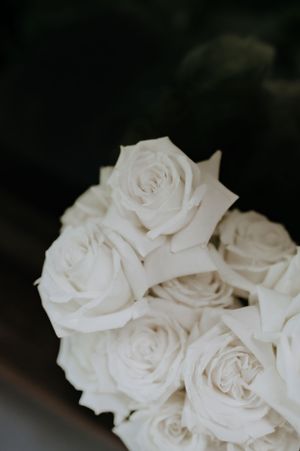 Close-up of pure white roses in soft focus against dark background.